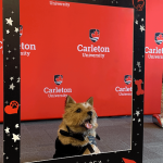 Bear the therapy dog poses in the photo frame at Therapy Dog Convocation