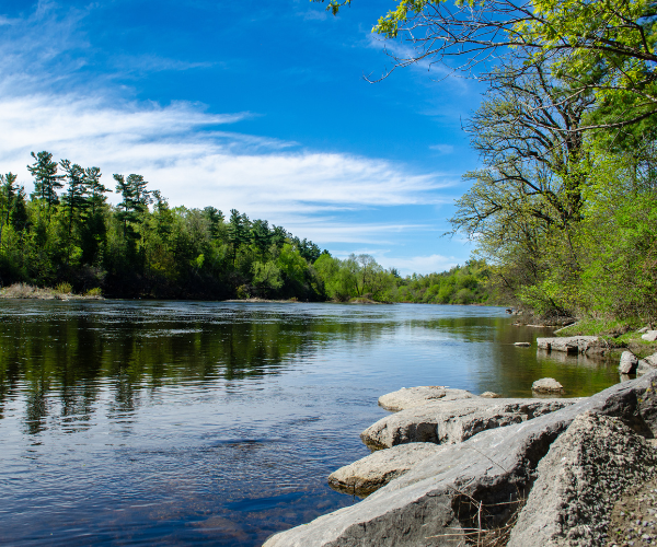 The Rideau River on a partly cloudy summer day.