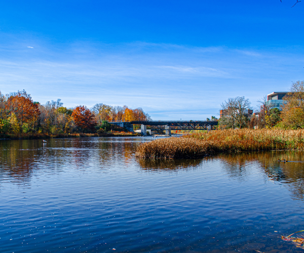 The Rideau River in the fall on a mostly sunny day with the bridge in the distance.