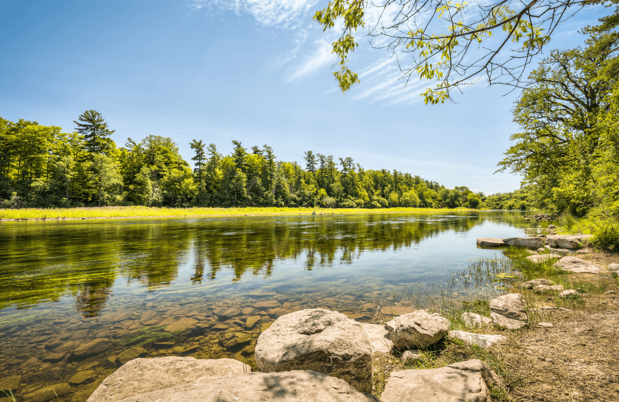 The Rideau River on a sunny day.