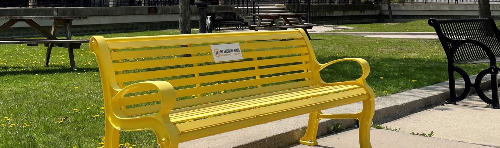 A yellow Friendship Bench in the quad.